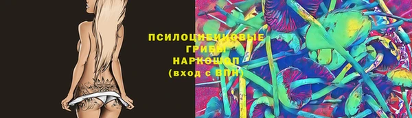 прущие грибы Алексеевка