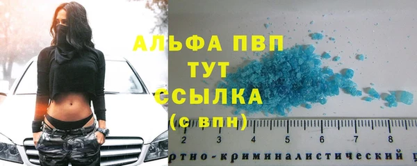 молекула духа Алексин