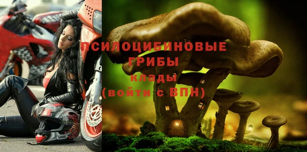 молекула духа Алексин
