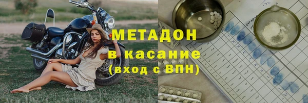 прущие грибы Алексеевка