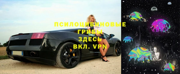 бошки Пролетарск