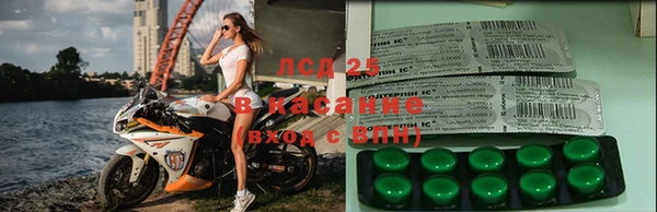 молекула духа Алексин